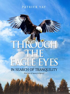cover image of Through the Eagle Eyes